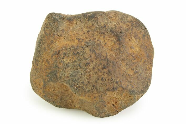 Gao-Guenie Meteorite ( g) - Witnessed Fall #350980